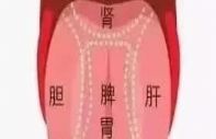 儿童舌诊简单看