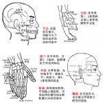 龋齿牙痛特效穴位--偏历穴