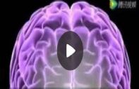 失眠方法小集，总有一个适合你。