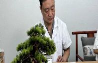 脾虚易生痰，痰湿易困脾！想健脾，先除湿，这3个中成药，不管你是白腻舌、水湿舌、黄腻舌，分别对应！